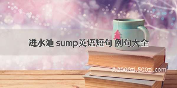 进水池 sump英语短句 例句大全