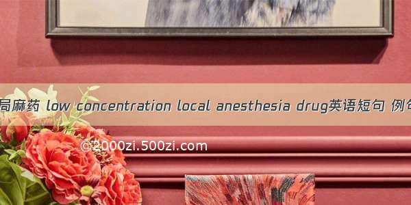 低浓度局麻药 low concentration local anesthesia drug英语短句 例句大全