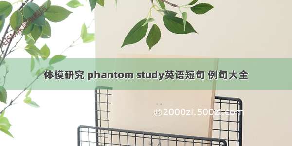 体模研究 phantom study英语短句 例句大全