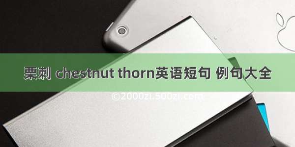 栗刺 chestnut thorn英语短句 例句大全