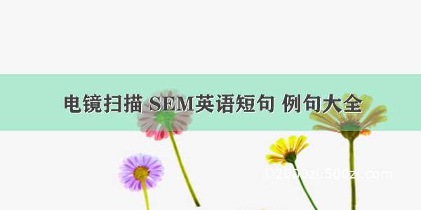 电镜扫描 SEM英语短句 例句大全