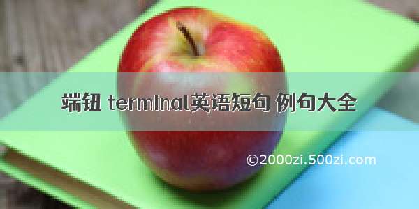 端钮 terminal英语短句 例句大全