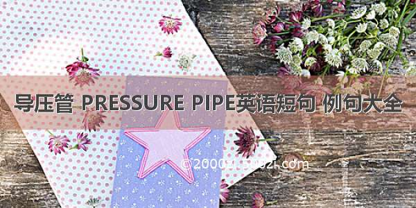 导压管 PRESSURE PIPE英语短句 例句大全