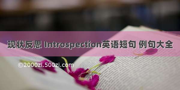 现状反思 Introspection英语短句 例句大全