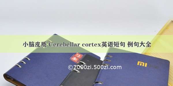 小脑皮质 Cerebellar cortex英语短句 例句大全