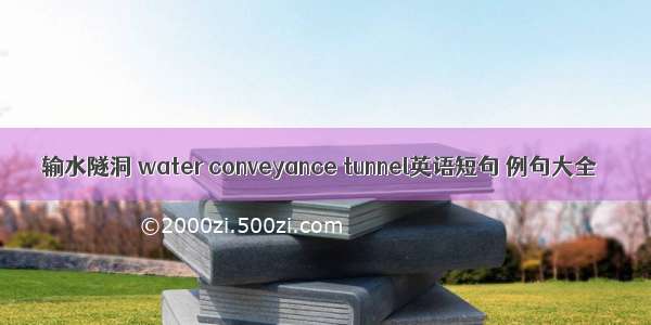 输水隧洞 water conveyance tunnel英语短句 例句大全