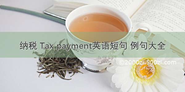 纳税 Tax payment英语短句 例句大全