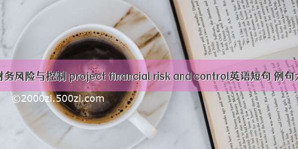 项目财务风险与控制 project financial risk and control英语短句 例句大全