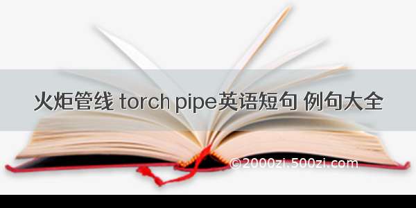 火炬管线 torch pipe英语短句 例句大全