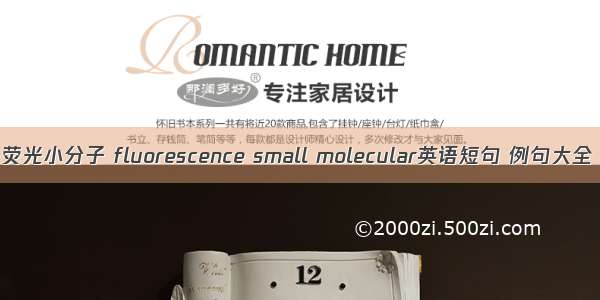 荧光小分子 fluorescence small molecular英语短句 例句大全