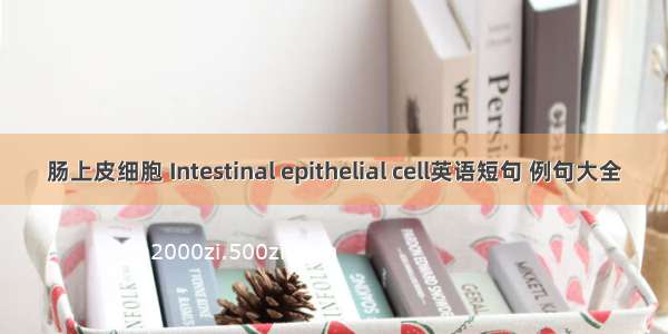 肠上皮细胞 Intestinal epithelial cell英语短句 例句大全