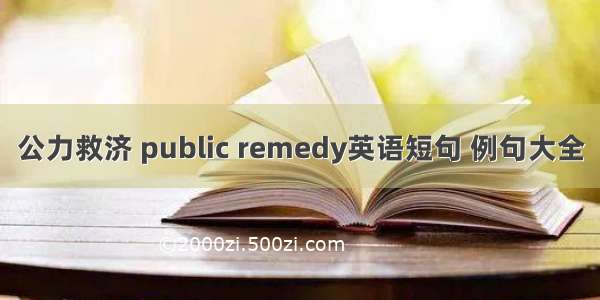 公力救济 public remedy英语短句 例句大全