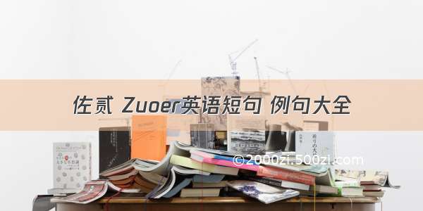 佐贰 Zuoer英语短句 例句大全