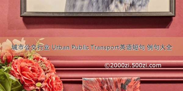 城市公交行业 Urban Public Transport英语短句 例句大全