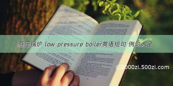 低压锅炉 low pressure boiler英语短句 例句大全