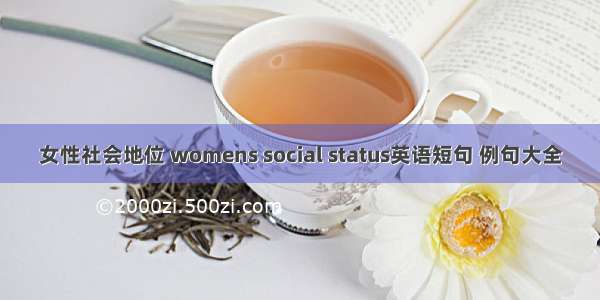 女性社会地位 womens social status英语短句 例句大全