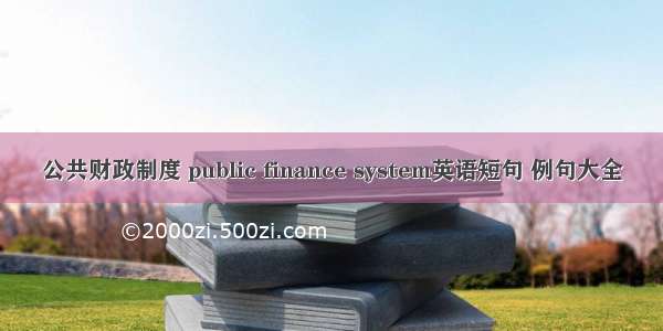 公共财政制度 public finance system英语短句 例句大全