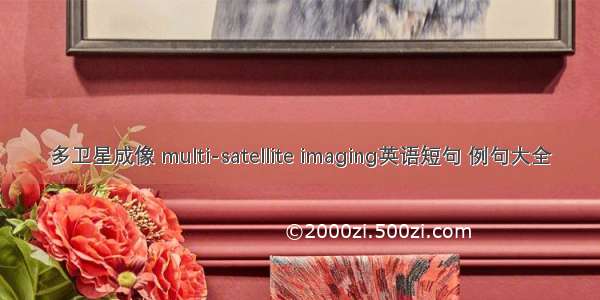 多卫星成像 multi-satellite imaging英语短句 例句大全