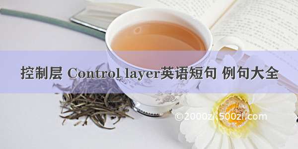 控制层 Control layer英语短句 例句大全