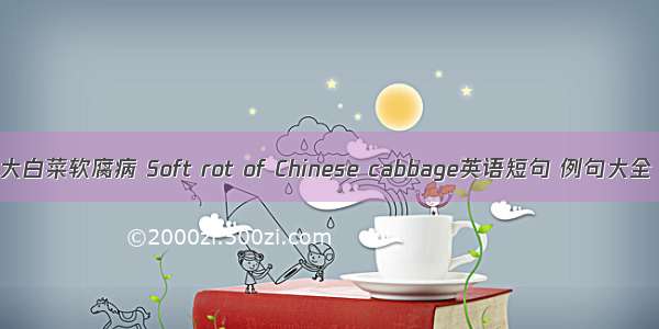 大白菜软腐病 Soft rot of Chinese cabbage英语短句 例句大全