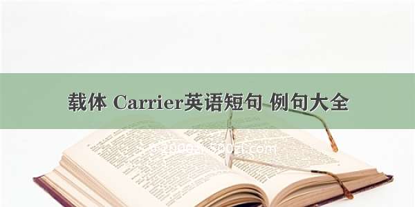 载体 Carrier英语短句 例句大全