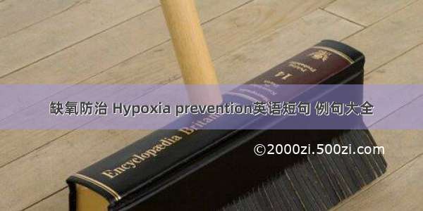 缺氧防治 Hypoxia prevention英语短句 例句大全