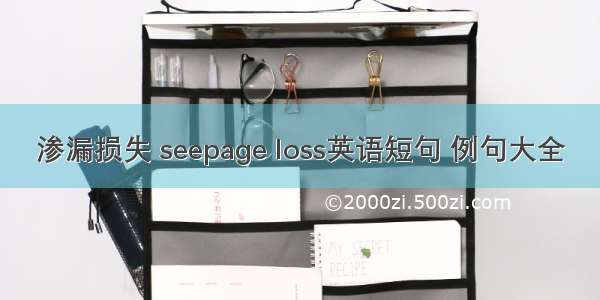 渗漏损失 seepage loss英语短句 例句大全