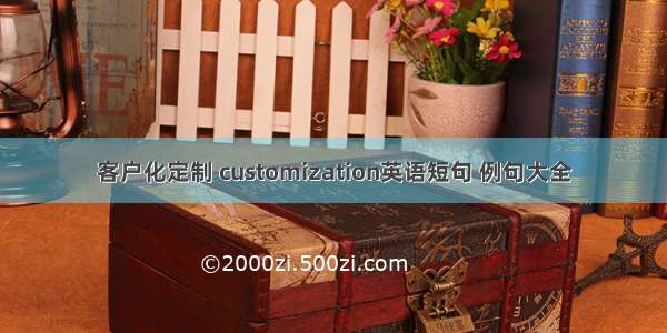 客户化定制 customization英语短句 例句大全