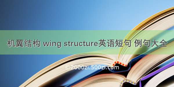 机翼结构 wing structure英语短句 例句大全