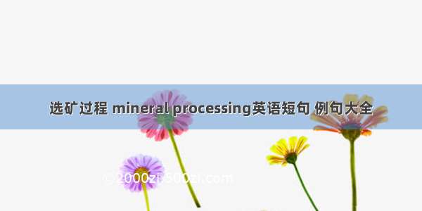 选矿过程 mineral processing英语短句 例句大全