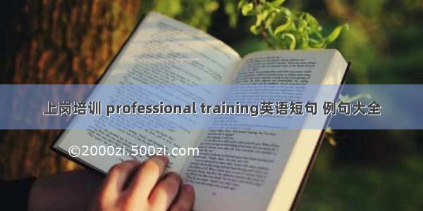 上岗培训 professional training英语短句 例句大全