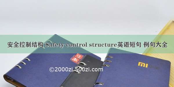 安全控制结构 Safety control structure英语短句 例句大全