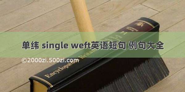 单纬 single weft英语短句 例句大全