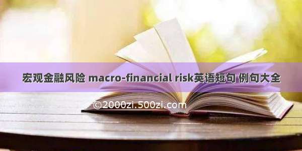宏观金融风险 macro-financial risk英语短句 例句大全