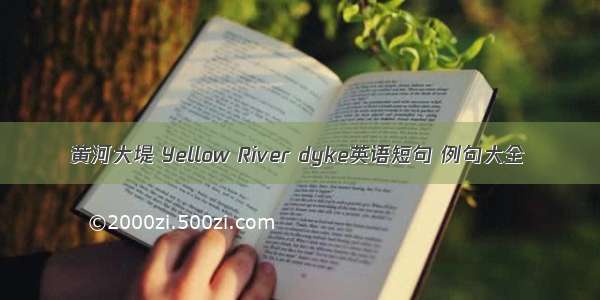 黄河大堤 Yellow River dyke英语短句 例句大全