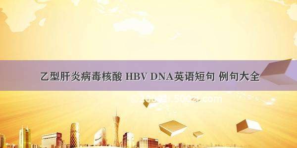 乙型肝炎病毒核酸 HBV DNA英语短句 例句大全