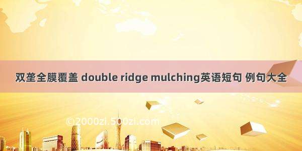 双垄全膜覆盖 double ridge mulching英语短句 例句大全