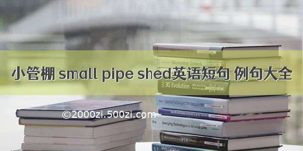 小管棚 small pipe shed英语短句 例句大全