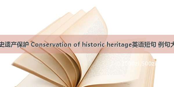 历史遗产保护 Conservation of historic heritage英语短句 例句大全