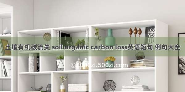 土壤有机碳流失 soil organic carbon loss英语短句 例句大全