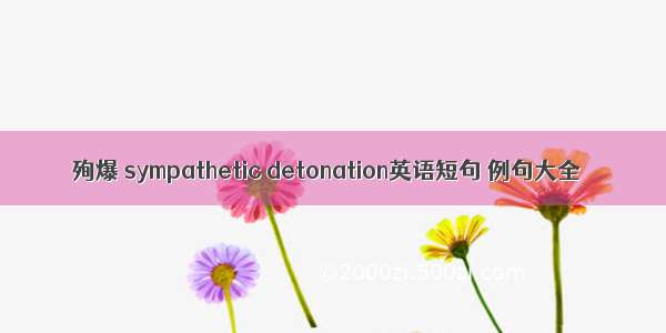 殉爆 sympathetic detonation英语短句 例句大全