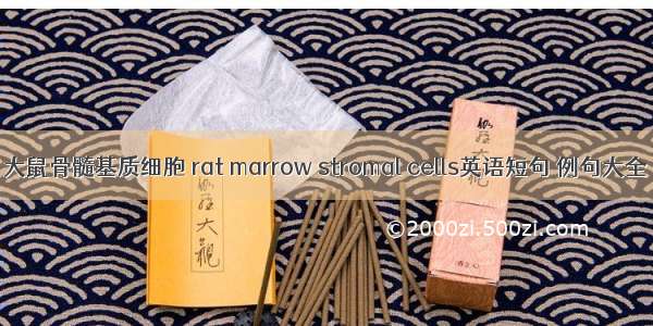 大鼠骨髓基质细胞 rat marrow stromal cells英语短句 例句大全