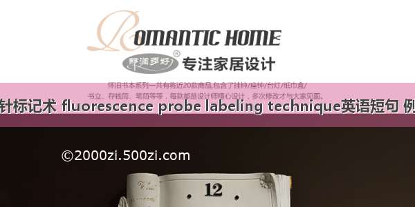 荧光探针标记术 fluorescence probe labeling technique英语短句 例句大全