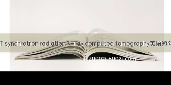 同步辐射CT synchrotron radiation X-ray computed tomography英语短句 例句大全