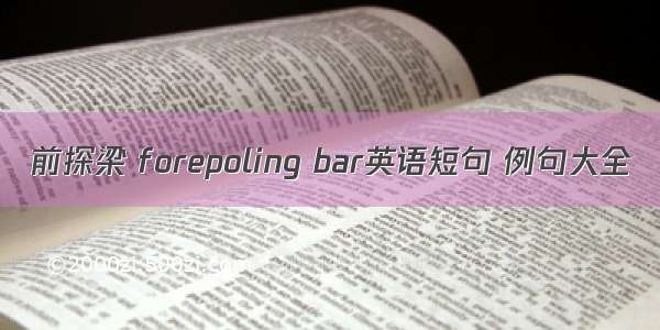 前探梁 forepoling bar英语短句 例句大全