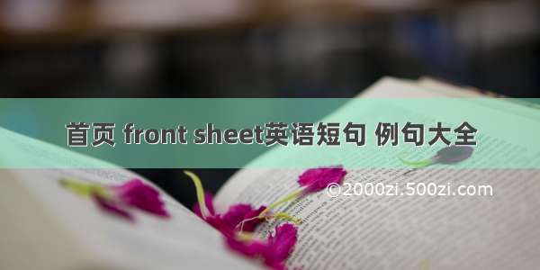 首页 front sheet英语短句 例句大全