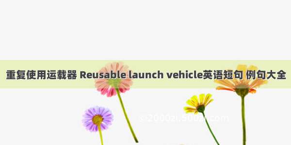 重复使用运载器 Reusable launch vehicle英语短句 例句大全