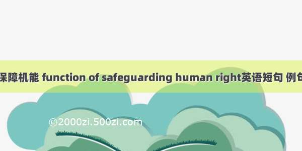 人权保障机能 function of safeguarding human right英语短句 例句大全