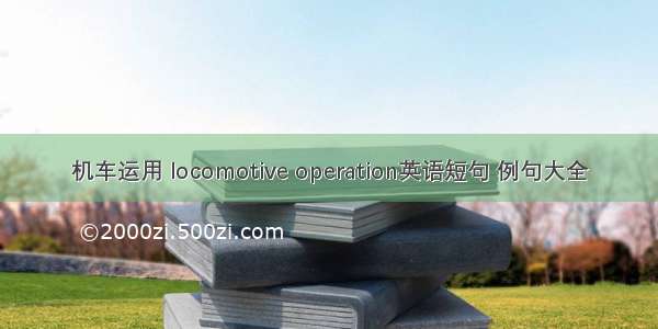 机车运用 locomotive operation英语短句 例句大全