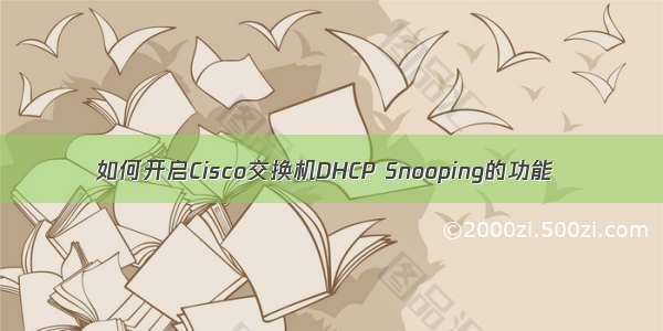如何开启Cisco交换机DHCP Snooping的功能